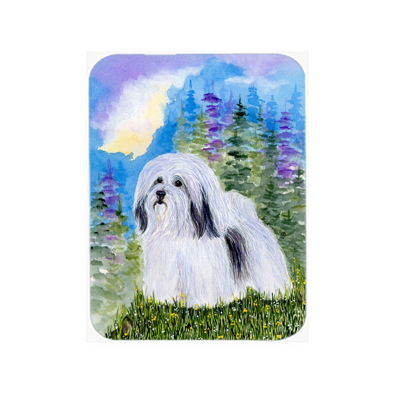 Planche à découper en verre Winston porter Havanese
