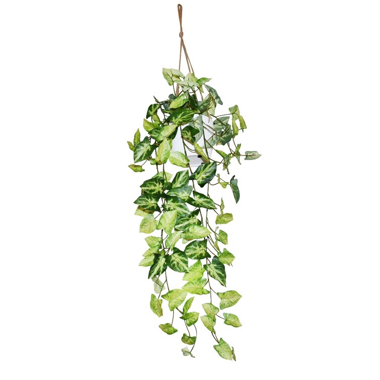 Primrue Rockdale Organic Modern Faux Ivy Plant & Reviews