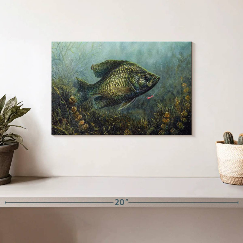 Brampt Black Crappie, 8" H x 12" W
