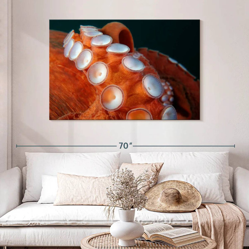 Brampt Japanese Octopus Tentacles, 32" H x 48" W