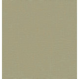 Yanyu Sage Paper Weave Grasscloth Wallpaper