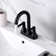 Centerset Faucet 2-Handle Bathroom Faucet with Drain Assembly