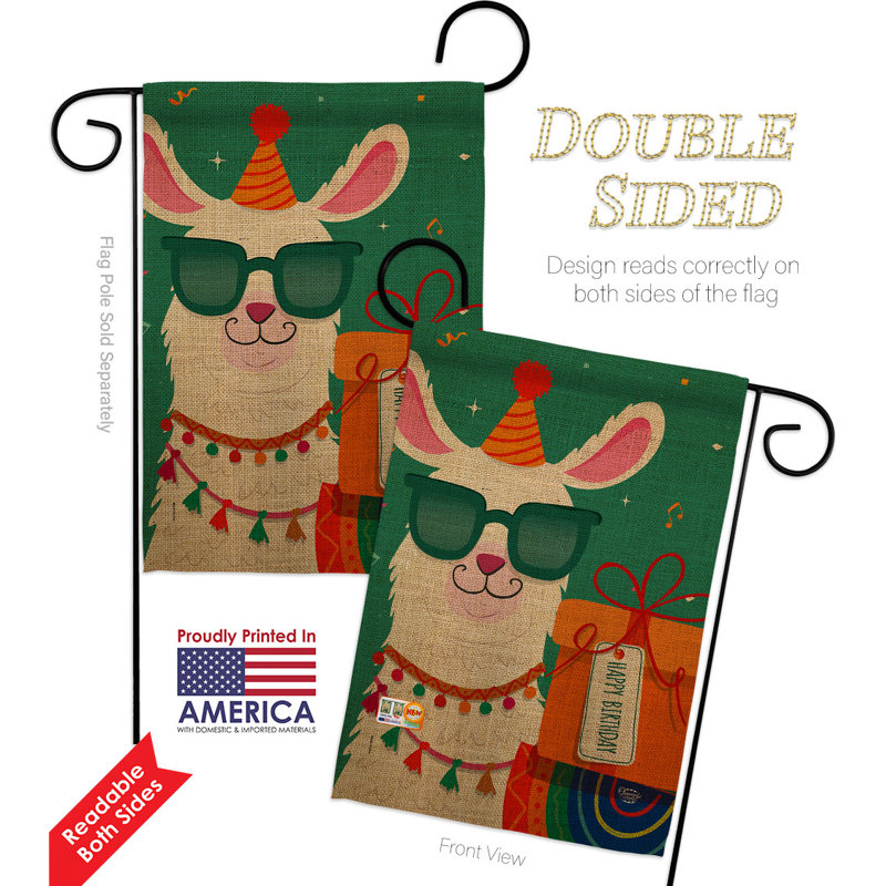 Ensemble de drapeaux en polyester 19 x 13 po Cool Llamas Birthday