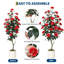 Arrangement