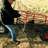 1250 Lb. Capacity Hand Truck Dolly