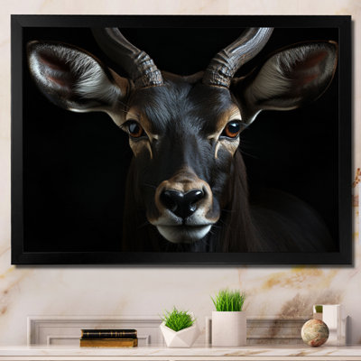 Keillan " Antelope Portrait II "