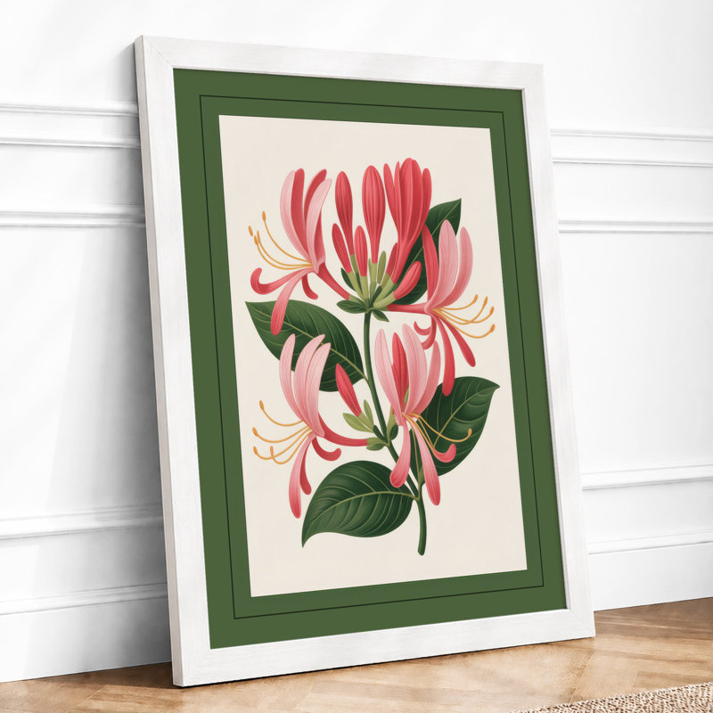 Honeysuckle Study Botanical - Print, A1 - 84.1 x 59.4 cm, White