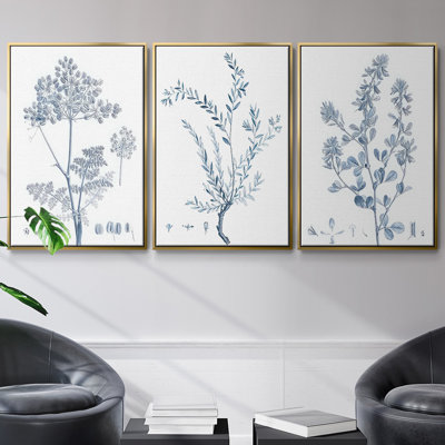 Ensemble de 3 pièces botaniques antiques encadrées sur toile IV