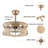 Shondale 18 inch Smart Ceiling Fan with Light and Remote Control