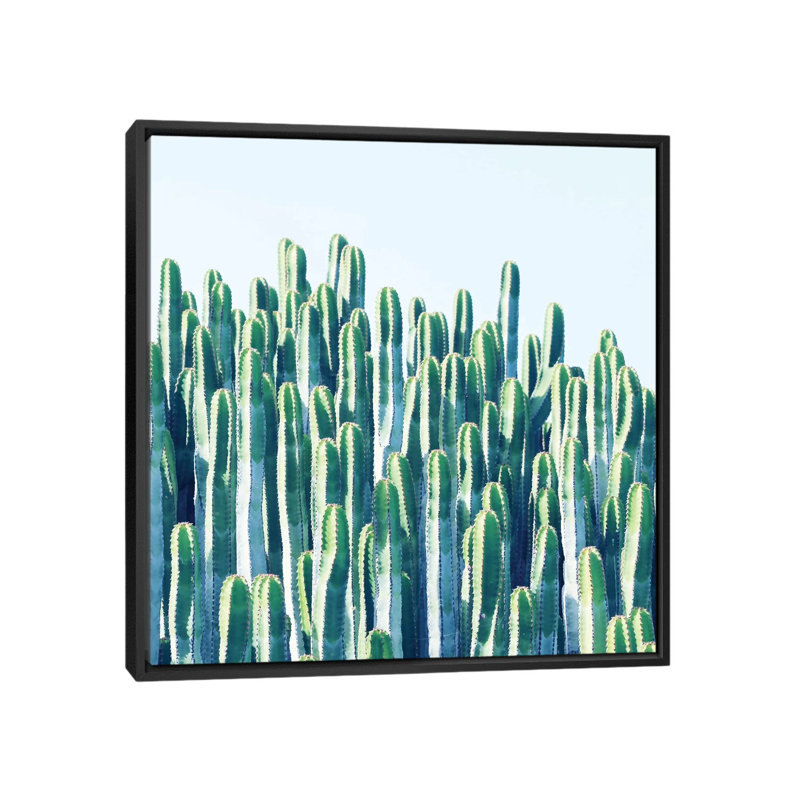 «Cactus Plants», impression sur toile, H 18 po x l 18 po x P 1,5 po, Toile avec cadre noir