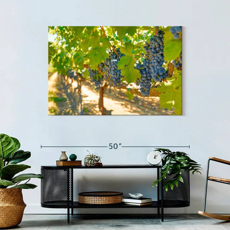 Yarlin Napa Valley Grapes