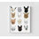 «Llamas In Glasses» par Hanna Melin, impression d'affiche de lamas mignons, décor de reproduction d'animaux de ferme d'Amérique du Sud, impression de verres