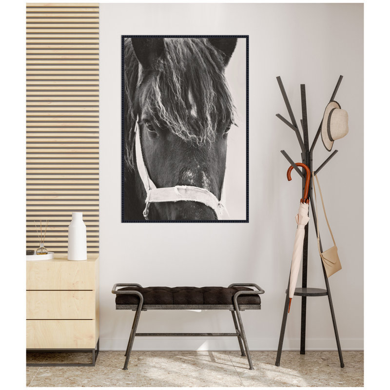 «Black Horse» par Emiko et Mark Franzen, impression sur toile encadrée F2 Images