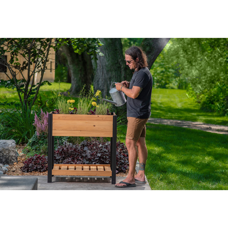 Mezza 42" Cedar Raised Herb Garden Bed with Black Aluminum Posts