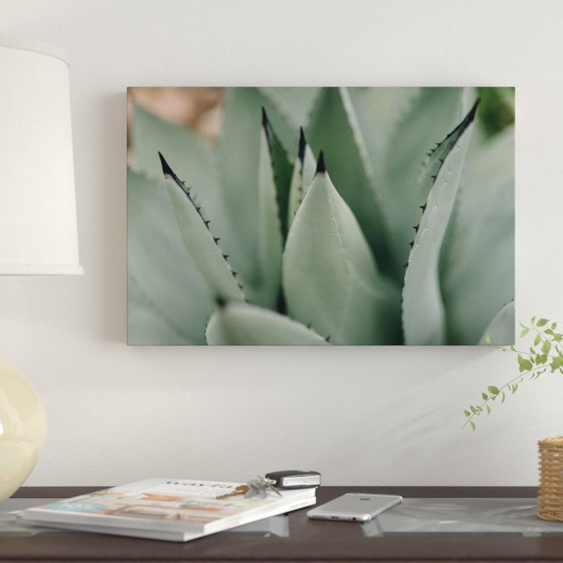 «Mint Succulent II», reproduction de photo sur toile, H 24 po x l 32 po x P 1 po, Papier d'art encadré noir, Blanc