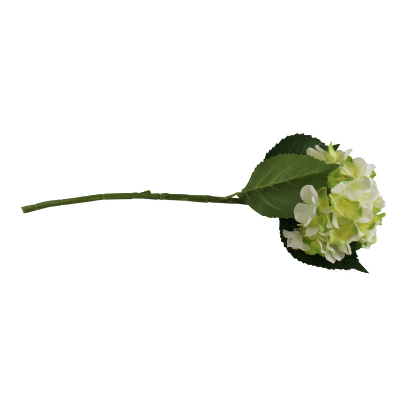 Hydrangea Arrangement, Light Green