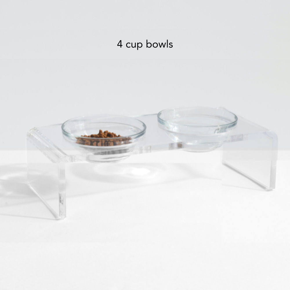 Glass Bowl Clear Elevated Feeder, 4 Cups