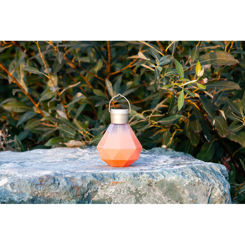 Bahama Coral Solar Powered Outdoor Hanging Light with Edison Bulb