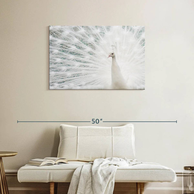 Plume de paon blanc neige Brampt