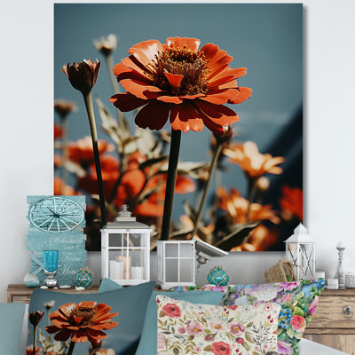 Rayon rouge Zinnias - art mural Zinnias