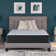 Elite Springs Firm California King Mattress