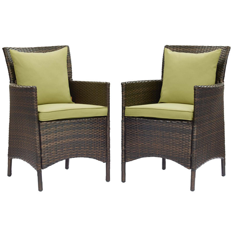 Ensemble de 2 chaises de salle à manger en rotin pour patio Conduit, Péridot, Brun