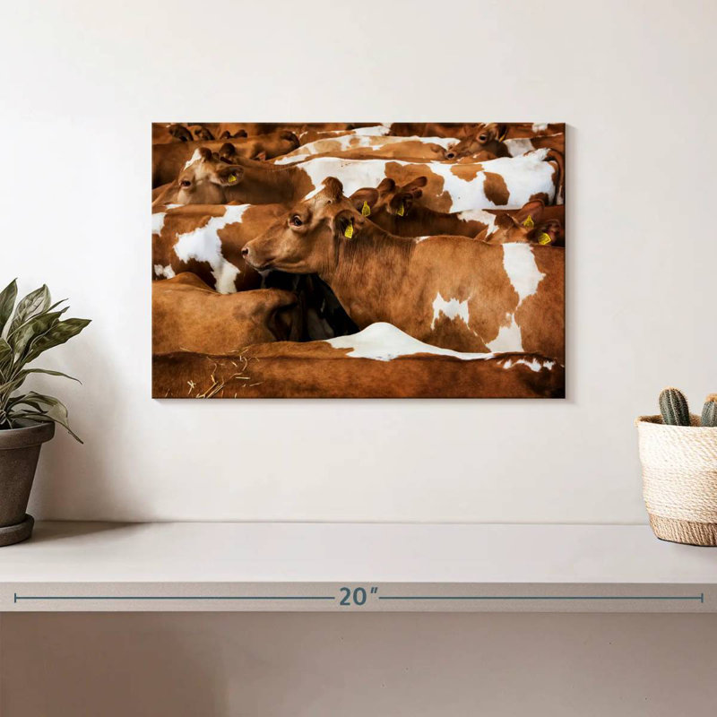 Brampt Guernsey Cows, 8" H x 12" W