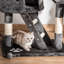 260cm H Cat Tree