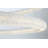 Sassi 1 light Chandelier in Chrome