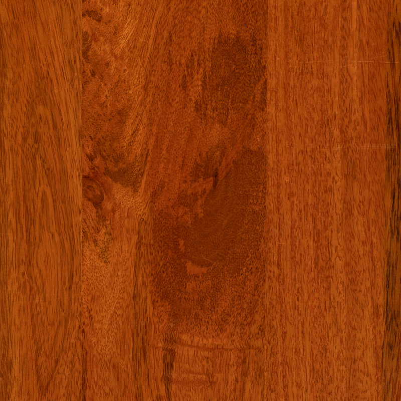 Console Gelsomino en bois de manguier Glam Modern