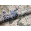 Modern Hand-Knotted Beige Area Rug