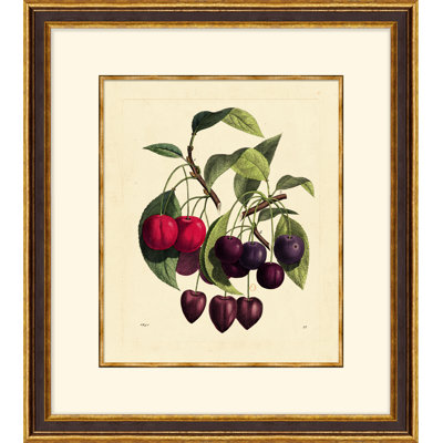 Vivid Berries - Cadre photo, impression sur papier