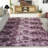 Ziska Shag Performance Abstract Rug-256535887