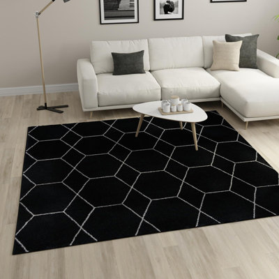 Mariela Black Area Rug