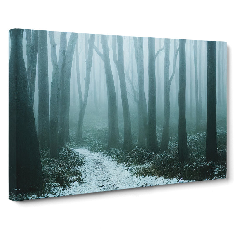 An Enlightening Winter Forest - Wrapped Canvas, 40cm H x 60cm W x 3cm D