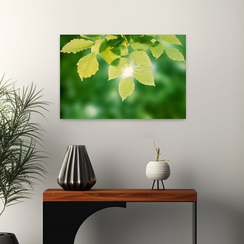 Selective Focus Close Up Of Green Leaves Hanging From Tree Abstract Contemporary Nature Spring Art, 16" H x 24" W