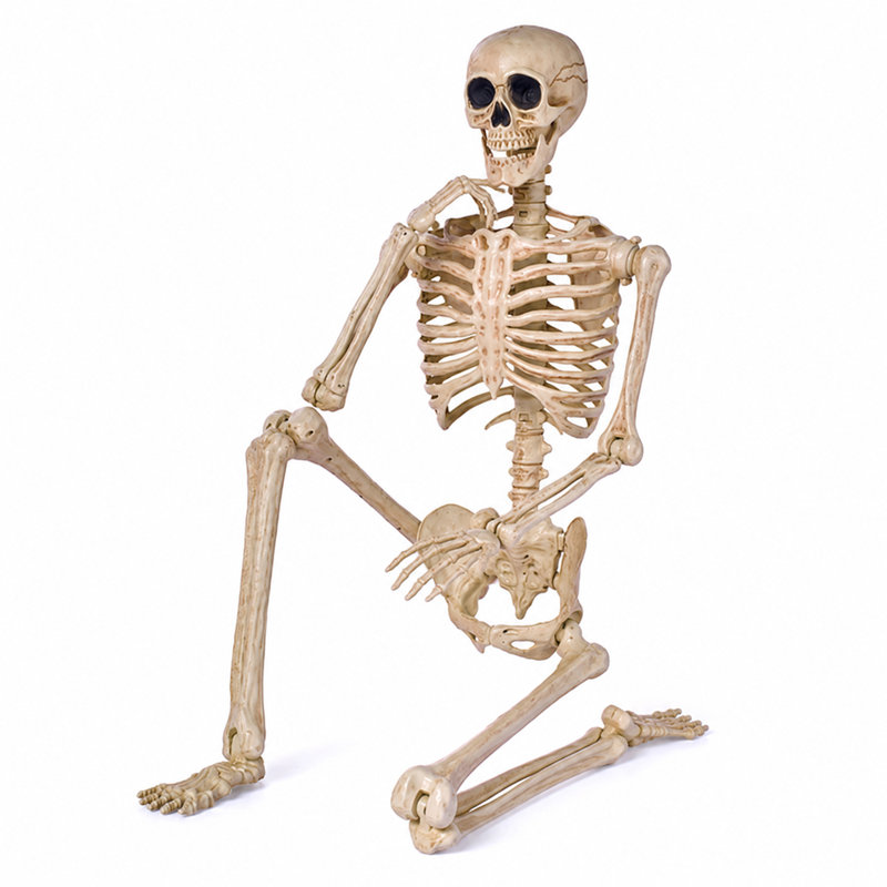 5 FT Halloween Posable Skeleton Life Size