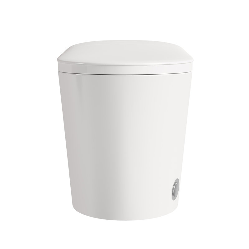 Toilette allongée blanche en céramique blanche avec pompe à eau intégrée et chasse à bouton-poussoir