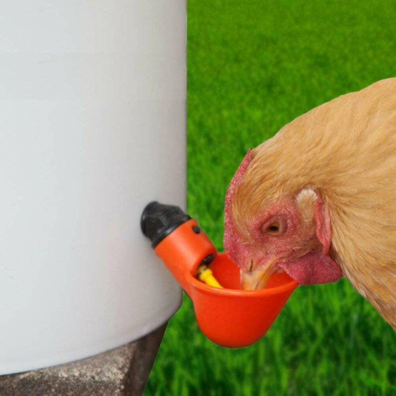 Fredi ABS Plastic Waterer