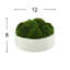 Nature's Nostalgia 8'' Moss Plant in Fiberstone Planter-372185924