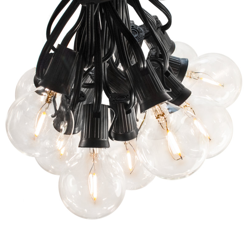 Hinds Outdoor Plug-in Globe String Light, Black Wire, G40, 1200" L