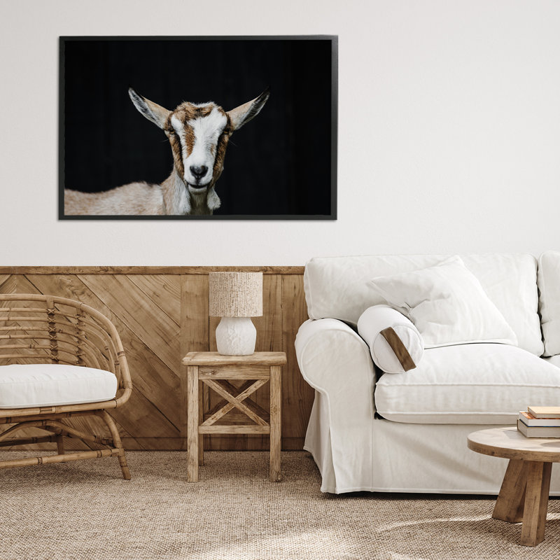 Estampe de chèvre sur giclée noire, design par Amy Carroll, H 20 po x l 30 po, Giclée encadrée noir minuit