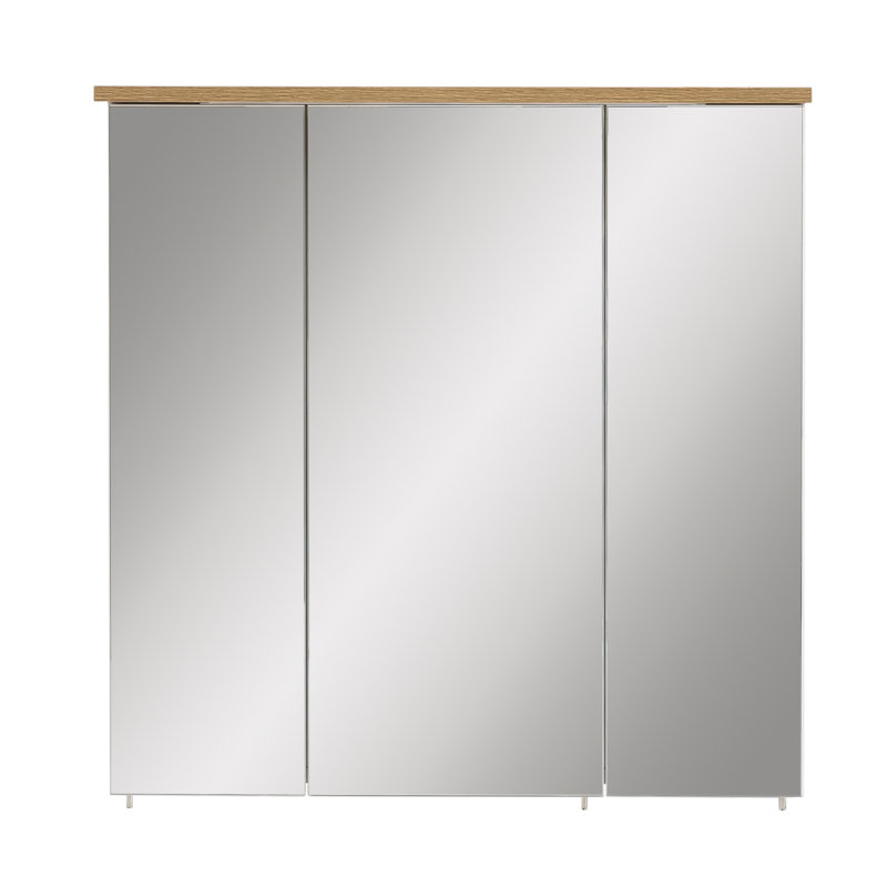 Padua 705mm W 723mm H Surface Medicine Cabinet Mirror 6 Adjustable