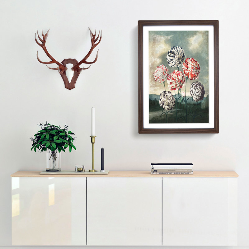 Group of Carnations by R.J. Thornton - Picture Frame Painting Print, Walnut Framed, 36cm H x 27cm W x 2cm D