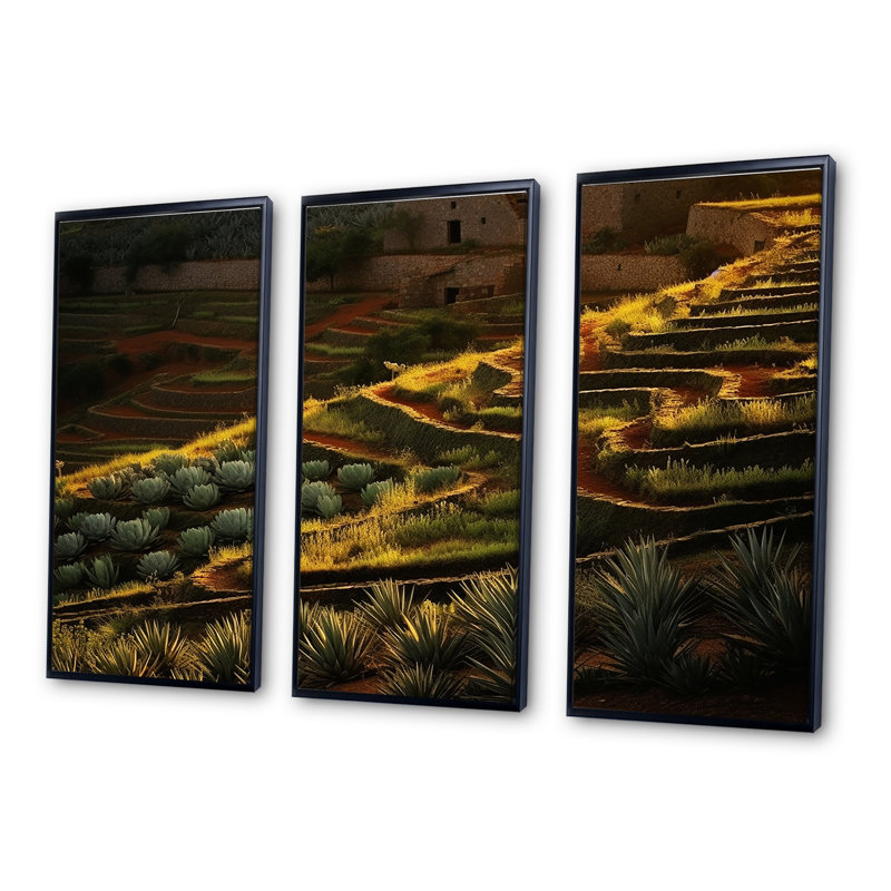 «Succulent Sunset Field In Texas I», ensemble de reproductions d'art mural, Cadre flottant noir, H 28 po x l 36 po x P 1 po