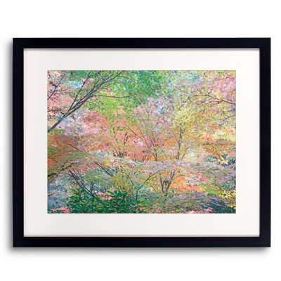 Autumn Maples Design Print by Bruce Heinemann