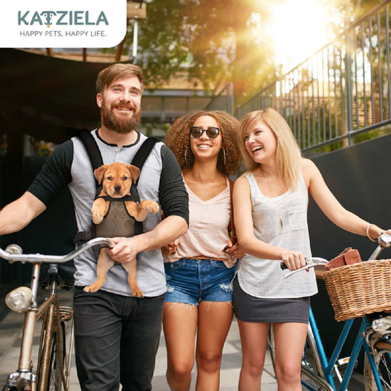 Sac de transport pour animaux Katziela, H 10 po x l 16 po x P 14 po