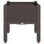 Omaida Planter Box-1560627345