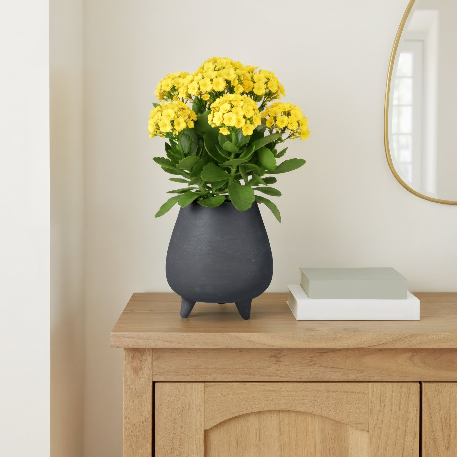 Heydan 7" Urn Planter, 6.75" H x 6.5" W x 6.5" D
