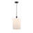 Cobbleskill 1 - Light Single Drop Pendant Pendant-86626067-86626069-86626075